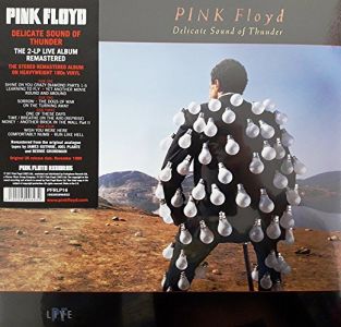 Pink Floyd - Pink Floyd - Delicate Sound Of Thunder (2LP VINYL)