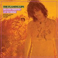 The Flaming Lips - Rarities Compilation (Vinyl)