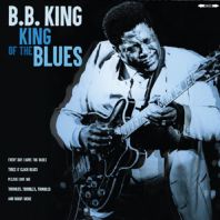 B.B.King - King Of The Blues (Vinyl)