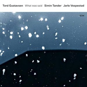 Tord Gustavsen - What Was Said [VINYL]