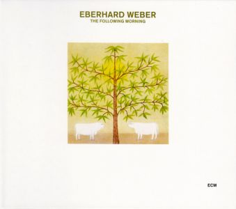 Eberhard Weber - The Following Morning
