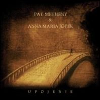 Pat Metheny - Upojenie