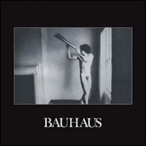 Bauhaus - BAUHAUS - IN THE FLAT FIELD (Vinyl)