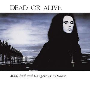 Dead Or Alive - Mad, Bad And Dangerous to Know