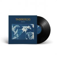 Tindersticks - DISTRACTIONS (VINYL)