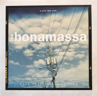 Joe Bonamassa - A New Day Now (20th Anniversary Edition) [VINYL]
