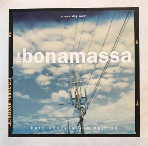 Joe Bonamassa - A New Day Now (20th Anniversary Edition) [VINYL]