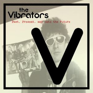 VIBRATORS - PAST, PRESENT AND INTO THE FUTURE (Vinyl)