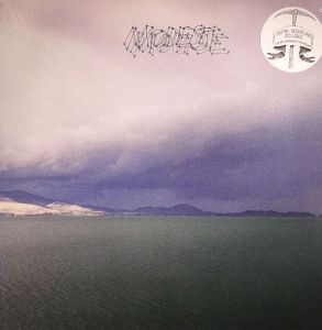 Modest Mouse - The Fruit That Ate Itself [VINYL]
