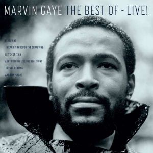 Marvin Gaye - The Best of-Live! (Viny)