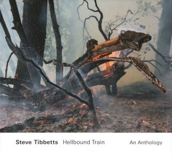 Steve Tibbetts - Hellbound Train - An Anthology