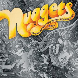 Various Artists - Nuggets:Original Artyfacts From The First Psychedelic Era ('65-'68) (Vinyl) RSD