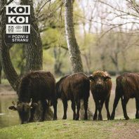 KOI KOI - Pozivi u stranu (Vinyl)
