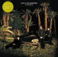 Echo & The Bunnymen - Evergreen (Vinyl)