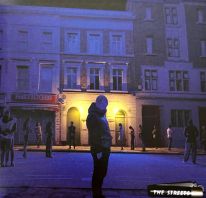 The Streets - The Darker The Shadow The Brighter The Light (Vinyl)