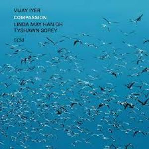 Vijay Iyer, Linda May Han Oh & Tyshawn Sorey - Compassion (Vinyl)