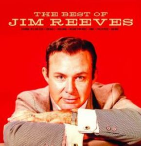 JIM REEVES - ADIOS AMIGO (Vinyl)